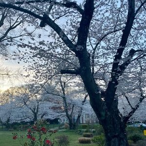 Meet your Posher, Kara